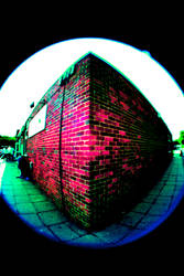 Fisheye Building