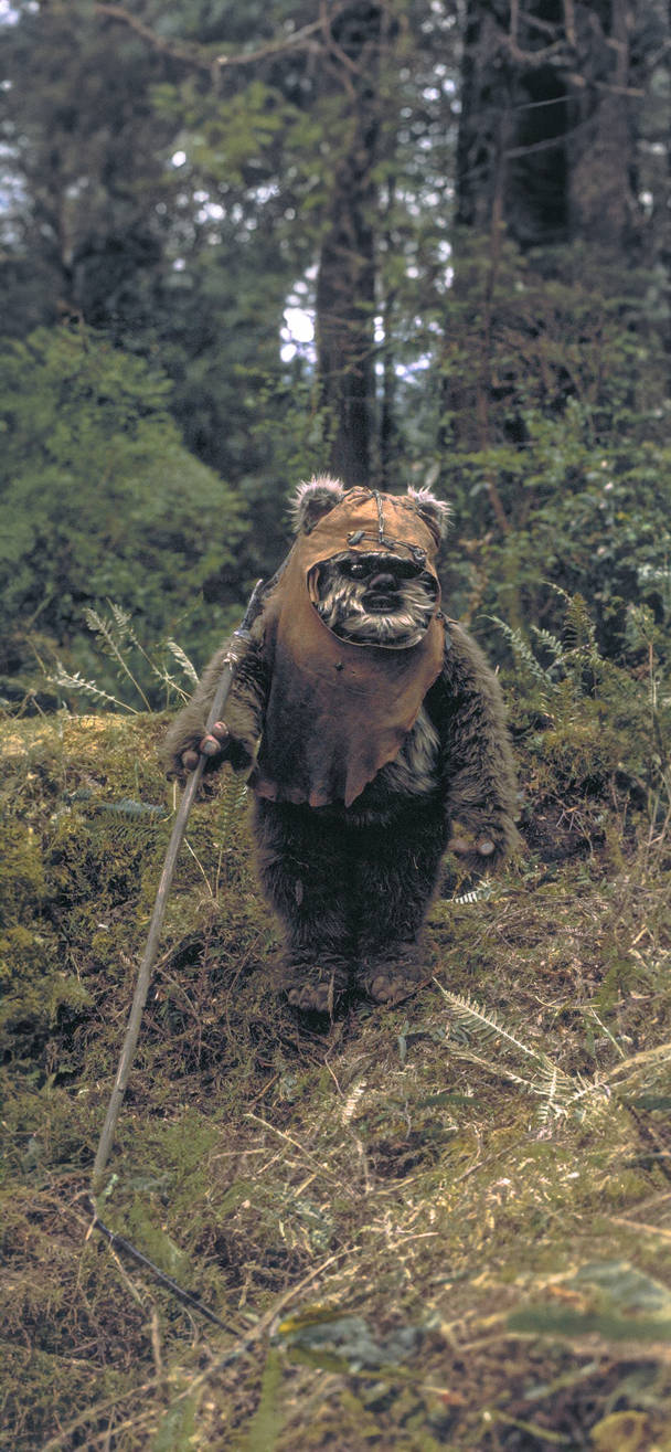 Ewok by ilkhanarda on DeviantArt