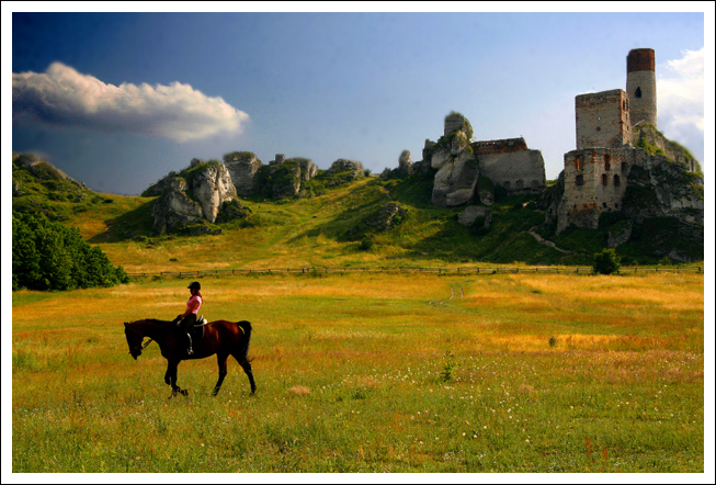 Castle's ruins in Olsztyn