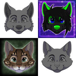 YCH Headshots