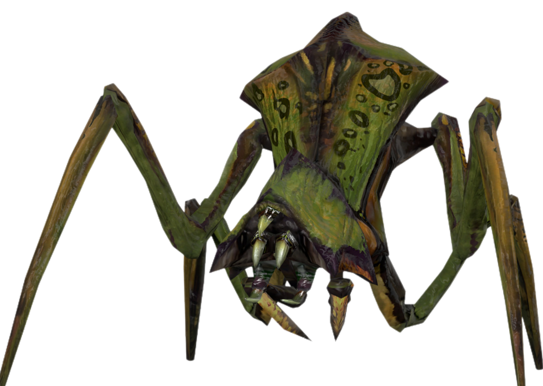 Antlion Soldier (Half Life 2) by Mortimerius on DeviantArt