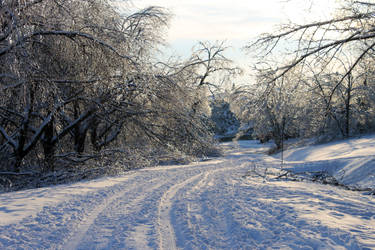 Winter road