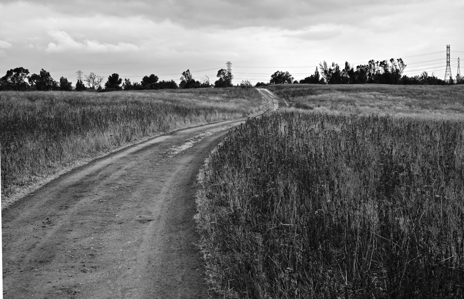 Road In Prado Dam