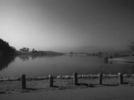 Posts At The Dam