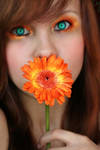orange flower by ceciliay