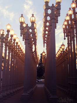 LACMA Lamps 2