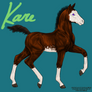 GA Kare (Horse OC)