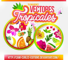 +RECURSOS Y MAS: Vectores Tropicales