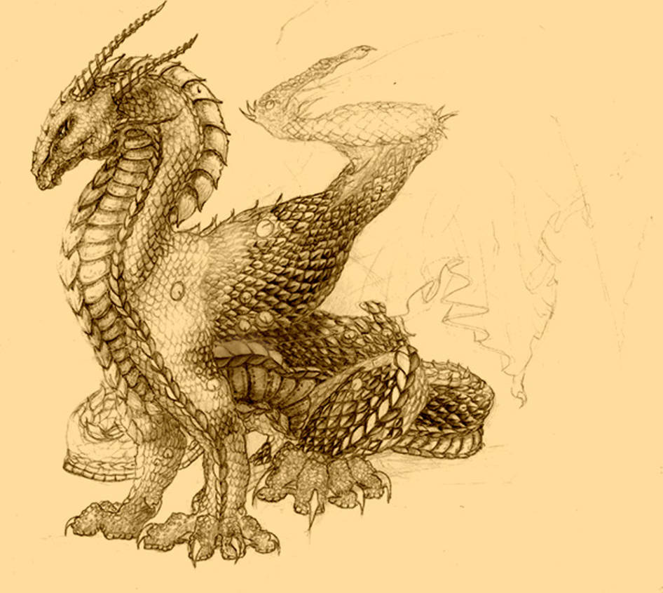 Dragon in Progress by Daelayna on DeviantArt