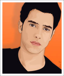 Harel Skaat Vector