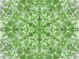 Symmetry in green