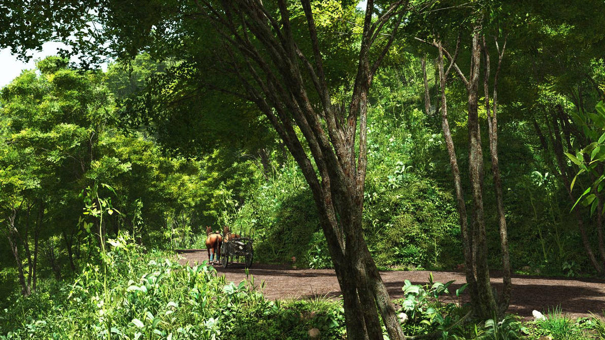a path inside forest -01- by rraffy