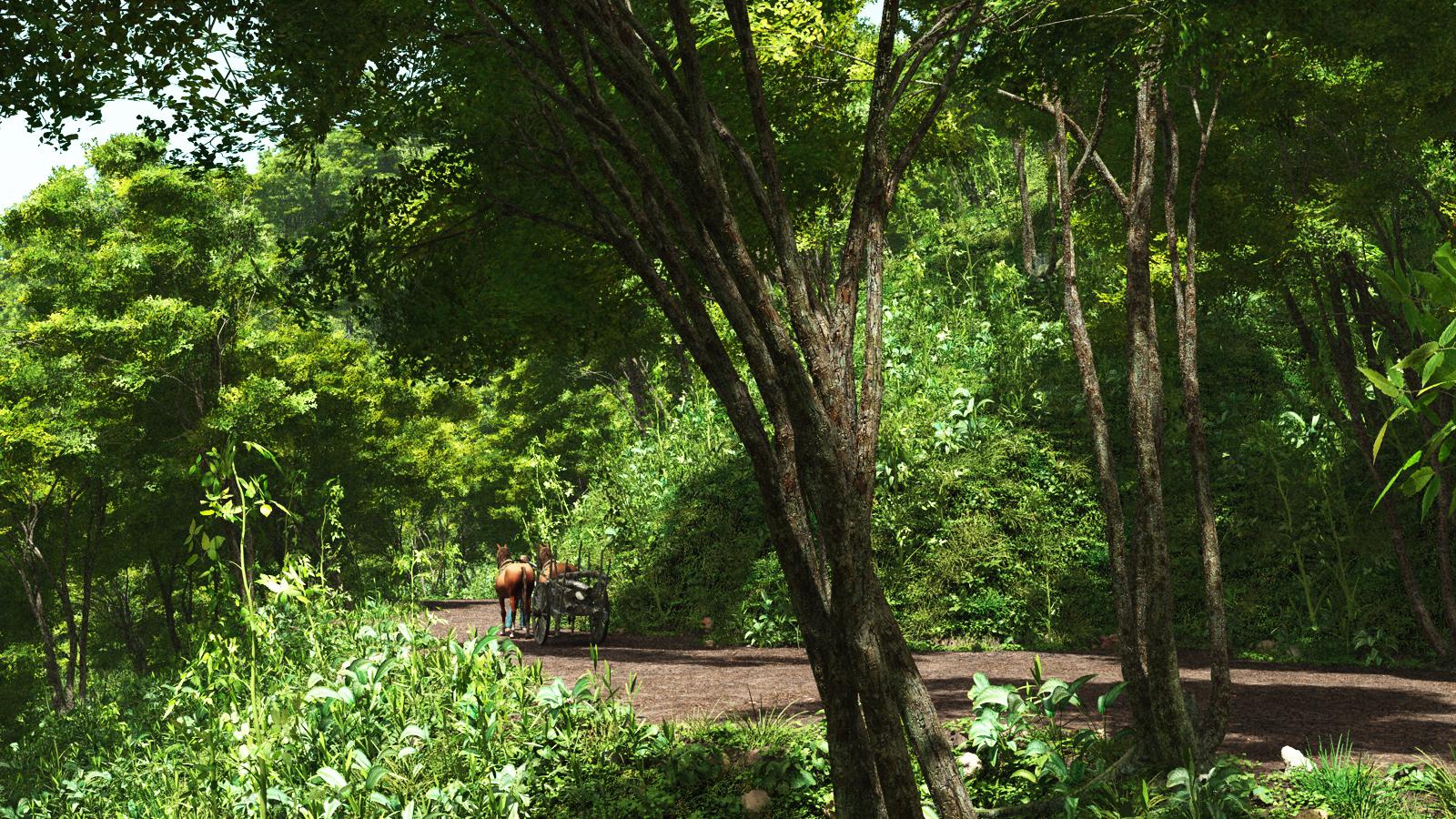 a path inside forest -01- by rraffy