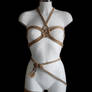 Chest Harness and Garter, Shibari