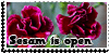 Sesam is open -5 by ShiStock Sesam is open -5 by ShiStock