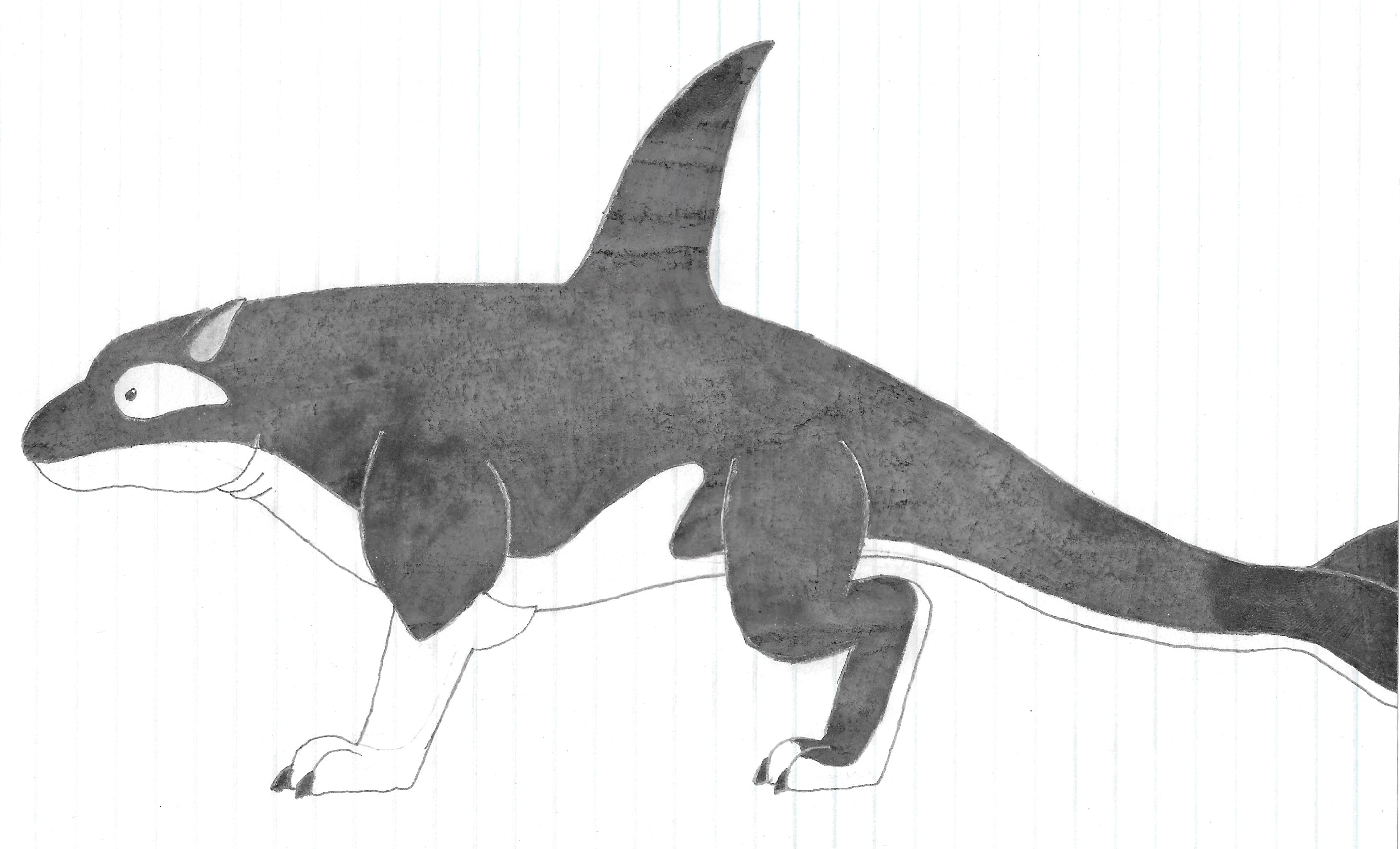 Werewolf Orca Doodles - Orca Wolf by JarrodOsbornethe2nd on DeviantArt