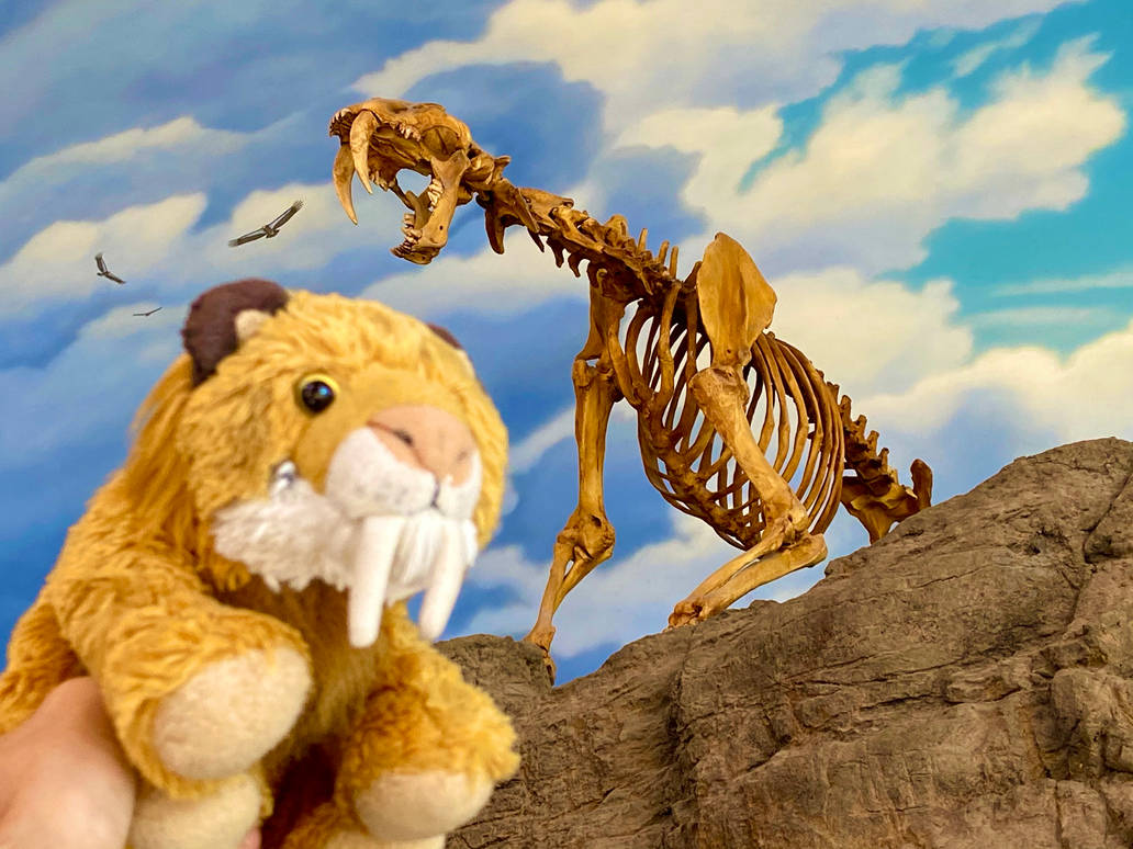 Grumpy Sabertooth Mighty Sabertooth by Smilo-the-Sabertooth on DeviantArt