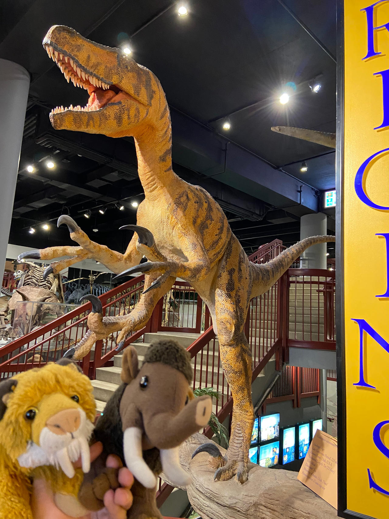 Utahraptor by Smilo-the-Sabertooth on DeviantArt