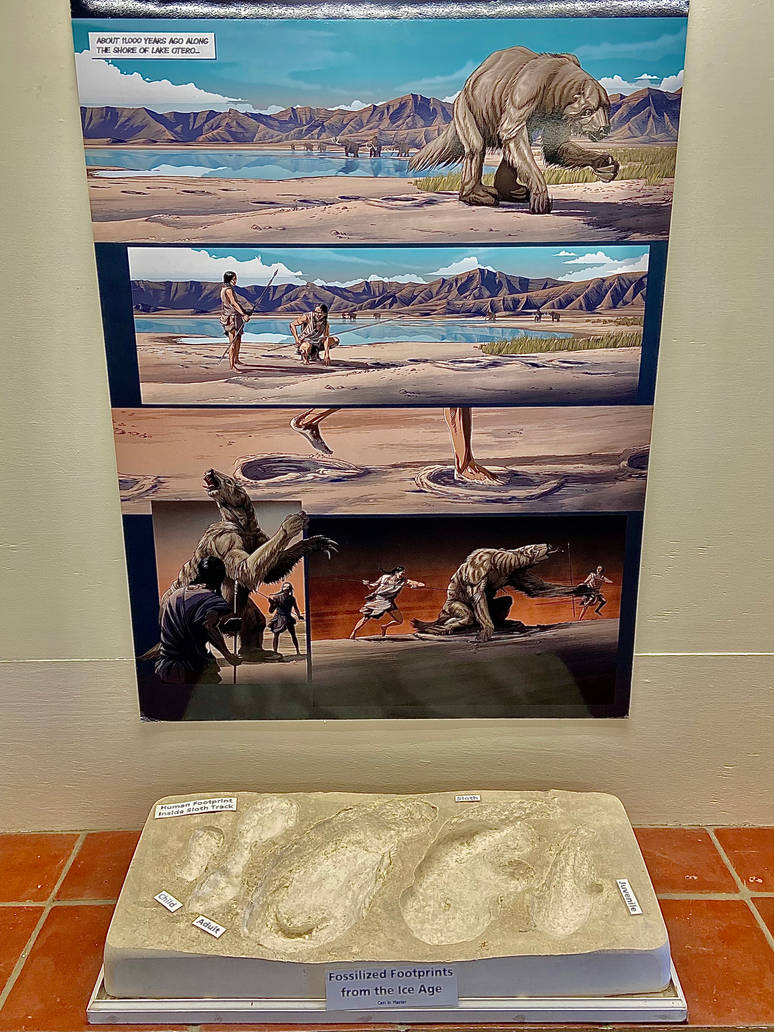 Harlans Ground Sloth Tracks by Smilo-the-Sabertooth on DeviantArt