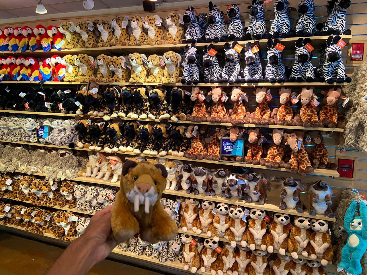 Wild Republic Plush Animals by Smilo-the-Sabertooth on DeviantArt