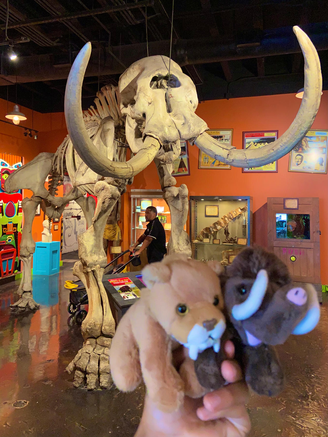 Mastodon Rats American Mastodon by Smilo-the-Sabertooth on DeviantArt