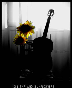 Guitar and sunflowers