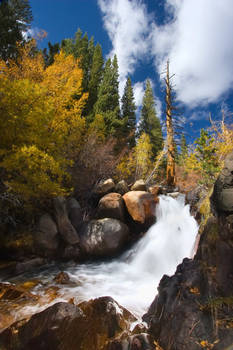 Creekside in the Sierras