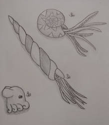 Just some sea critters
