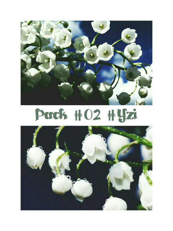 //09052017// Pack #02