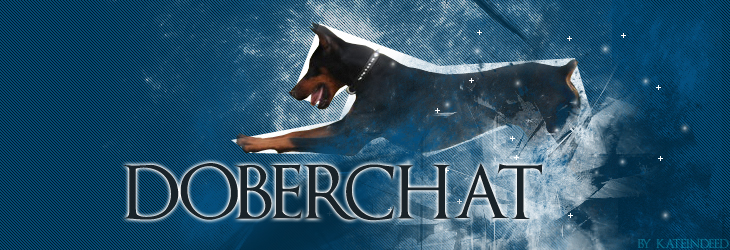 DoberChat header2