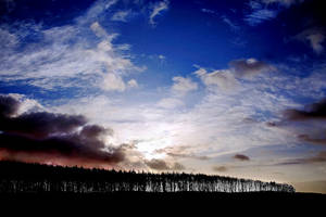 WinterTreeline1: Kirkcudbright