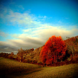 Gatehouse: Scarlet Willow by Coigach