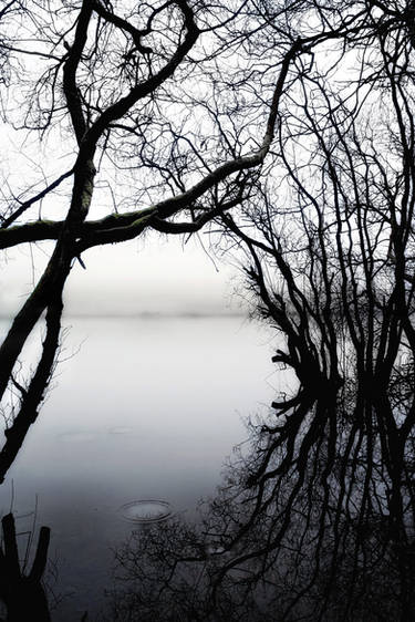 WATERSCAPE: LOCH-SHORE REFLECTIONS