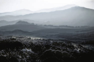 CAIRNSMORE VIEW