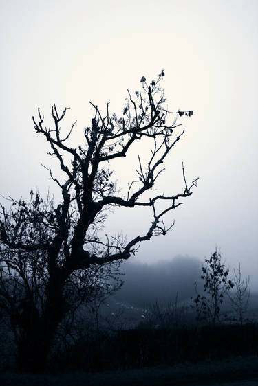 Kirkcudbright mist reprise2