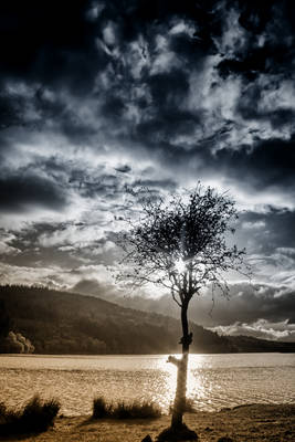 LOCHSIDE LANDSCAPE: LOCH, HAWTHORN + SKY