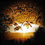 Spring Sunset+Young Leaves by Coigach