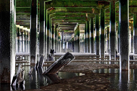 Pier Perspective 6