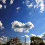Big Cloud+Blue Sky+Towpath