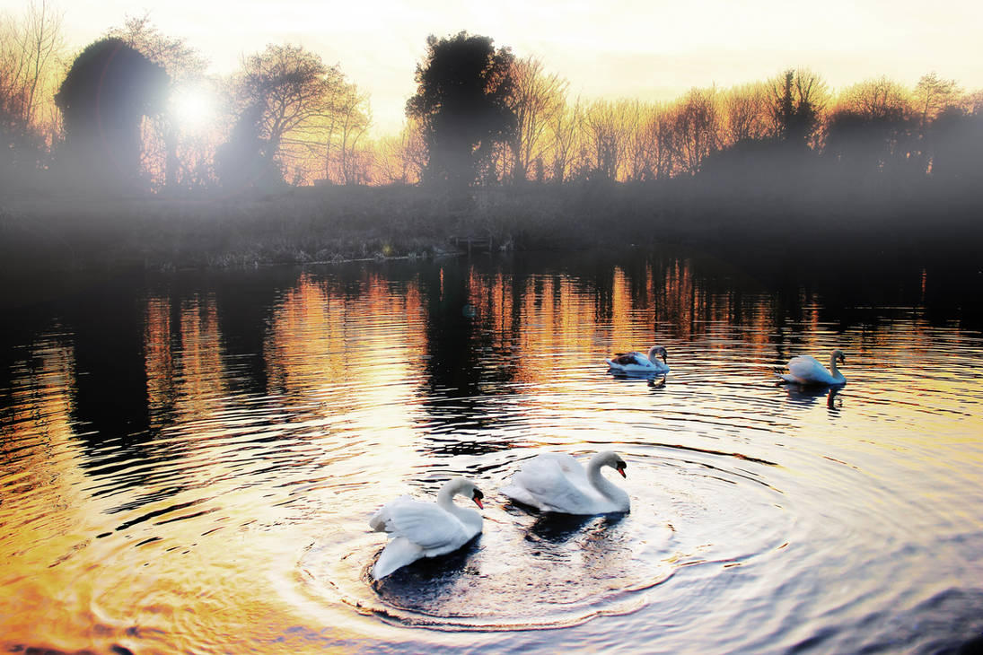 Golden Pond by Coigach Golden Pond by Coigach