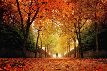 Autumn Park 1 by Coigach