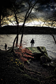 Cumbrian Spring: Windermere Shoreline 2