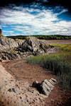 Skyreburn Bay: Salt Marshes by Coigach