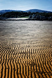 Mossyard: Low Tide by Coigach