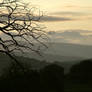 SKYSCAPE: WINTER OAK BRANCHES + GALLOWAY HILLS