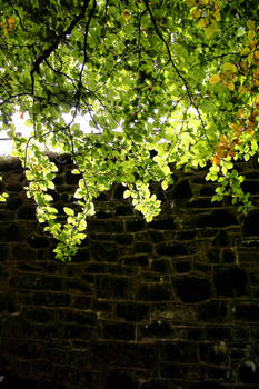 FAR-AWAY SCAPE: WALL+LEAF