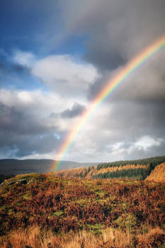 SKYSCAPE: WINTER RAINBOW OVER LOCH DOON