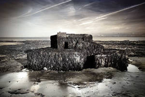 THE BUNKER + THE SEA