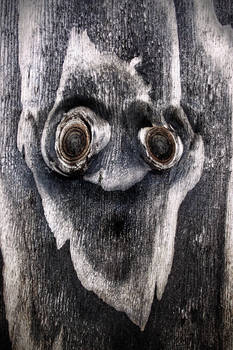 WOOD SPIRIT 2