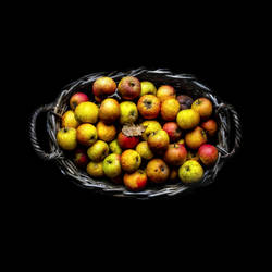 THEM APPLES...